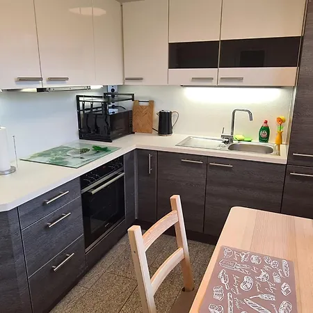 公寓 By Interhome 梅谢尼希