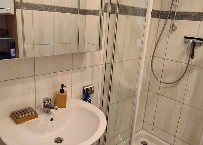 公寓 By Interhome 梅谢尼希