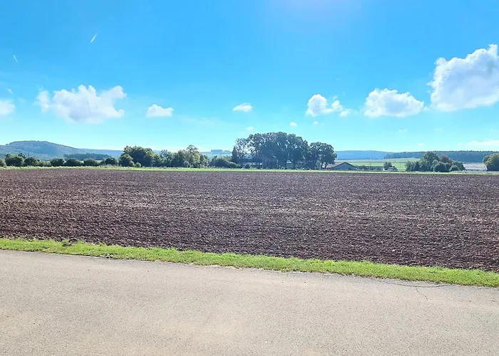 公寓 By Interhome 梅谢尼希