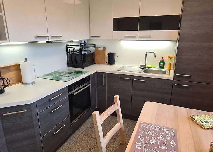 公寓 By Interhome 梅谢尼希